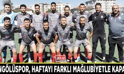 Vangölüspor, haftayı farklı mağlubiyetle kapattı