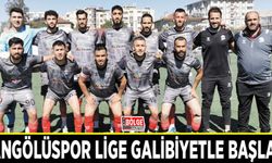 Vangölüspor lige galibiyetle başladı