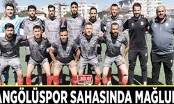 Vangölüspor sahasında mağlup…