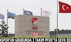 Vanspor'un grubunda 3 takım PFDK'ya sevk edildi