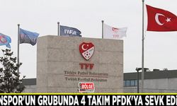 Vanspor'un grubunda 4 takım PFDK'ya sevk edildi