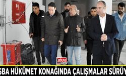 Tuşba hükümet konağında çalışmalar sürüyor