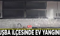 Tuşba ilçesinde ev yangını…