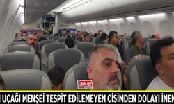 Van uçağı menşei tespit edilemeyen cisimden dolayı inemedi
