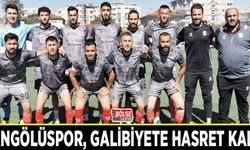 Vangölüspor, galibiyete hasret kaldı