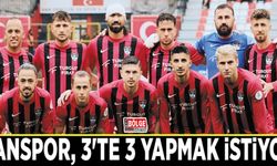 Vanspor, 3'te 3 yapmak istiyor