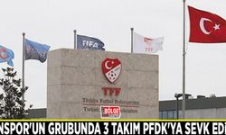 Vanspor'un grubunda 3 takım PFDK'ya sevk edildi
