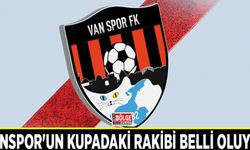 Vanspor'un kupadaki rakibi belli oluyor