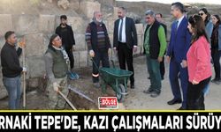 Zernaki Tepe'de, kazı çalışmaları sürüyor