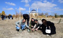 Van YYÜ’de ağaç dikim etkinliği