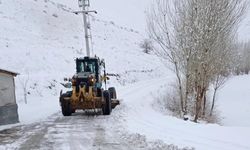 Van'da 420 yerleşim yerinin yolu ulaşıma kapandı