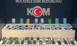 Van’da gümrük kaçakçılığı operasyonu