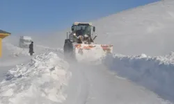 Van’da 493 yerleşim yerinin yolu ulaşıma kapandı