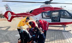 Hamile kadın ambulans helikopter ile Van'a getirildi