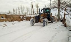 Van'da karla mücadele çalışmaları...
