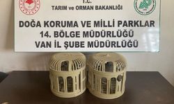 Kafesle kaçak avcılık yapan şahsa para cezası...