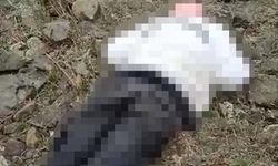 Van'da erkek cesedi bulundu