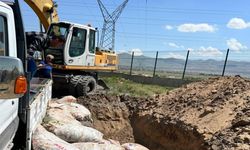 Van'dan kaçak avlanan balıklar Ağrı'da ele geçirildi
