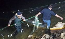 Van'da kaçak balık avcılarıyla mücadele sürüyor