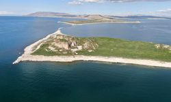 Çarpanak doğaseverlerin ilgi odağı oldu