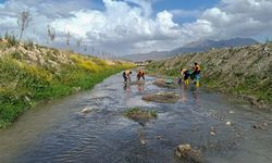 Van balığının göç yolu üzerindeki dereler temizleniyor