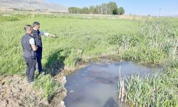 Erçek Gölü'nde İnci Kefali İçin Av Yasağı Denetimi