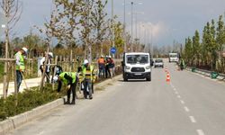 Van'da sahil yolunda çalışmalar sürüyor