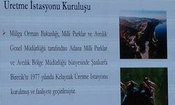 Van YYÜ'de, Ulusal Yaban Hayvanları Kongresi