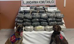 Van’da, Jandarma’dan uyuşturucu operasyonu…