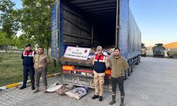 Van’da Jandarmadan Kaçak Avcılıkla Mücadele: Bir Haftada 22 Ton İnci Kefali Ele Geçirildi