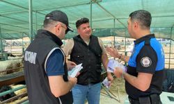 Van’da Kurbanlık Alacaklar Dikkat!