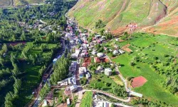 Van’da Doğanın Saklı Cenneti: Müküs Çayı Büyülüyor