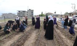 Tuşba Belediyesi "Xemê Akdoğan Kadın Kent Bostanı" Açıldı