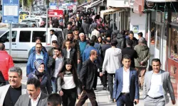 Vanlı Gençler Sordu: Neden Kendi Şehrimizde Çalışamıyoruz?