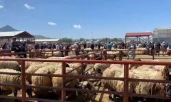 Kurban Bayramı Öncesi Van’da Satış ve Kesim Noktaları Belirlendi