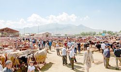 İpekyolu’nda Kurban Satış ve Kesim Yerleri Belirlendi
