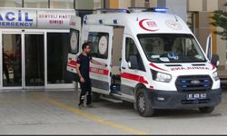 Van'da Acemi Kasaplar Yine Sahnede
