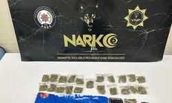 Van'da Torbacı Operasyonu!