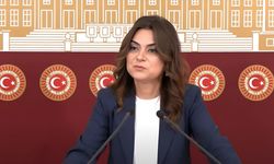 DEM Parti'den İmralı Çağrısı: “Tüm Siyasi Partiler Öcalan ile Görüşebilmeli”