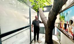 Van’da Örnek Davranış: Asırlık Ağaç Kesilmedi, Korundu