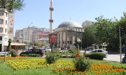 Van Rengârenk Çiçeklerle Güzelleşiyor: 250 Bin Mevsimlik Çiçek Toprakla Buluştu