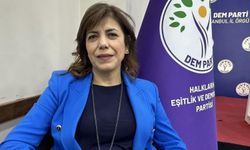 DEM Parti’li Beştaş: “Toplumsal Barış Yasası Gündeme Gelebilir”