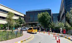 Van’da Sıcaklar Tehlike Saçıyor: Uzmanlardan Hayati Tavsiyeler
