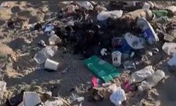 Van Edremit’te Çiçekli Sahili Çevre Kirliliğiyle Gündemde