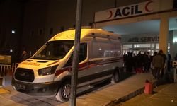 Van'dan Iğdır'a giden ailenin 2,5 yaşındaki çocuğu sulama kanalına düştü