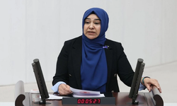 DEM Partili Varlı’dan İşçi Ölümlerine Tepki: “Her Hafta Bir Cansız Beden Geliyor”