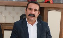 Yerine kayyım atanan Hakkari Belediye Eşbaşkanı Akış'ın cezası bozuldu