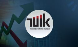 TÜİK açıkladı: İşsiz sayısı bir ayda 198 bin kişi arttı