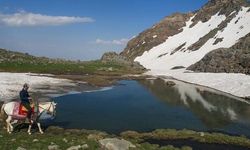 Hakkari Milletvekili Parlak, Van-Hakkari Karayolunu TBMM Gündemine Taşıdı