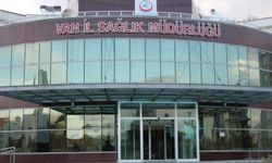 VAN İL SAĞLIK MÜDÜRLÜĞÜ 6 ADET SERVİS REVİZYONU YAPIM İŞİ